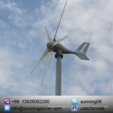 Sistema de viento solar híbrido Pequeño generador de viento 300W con precio bajo